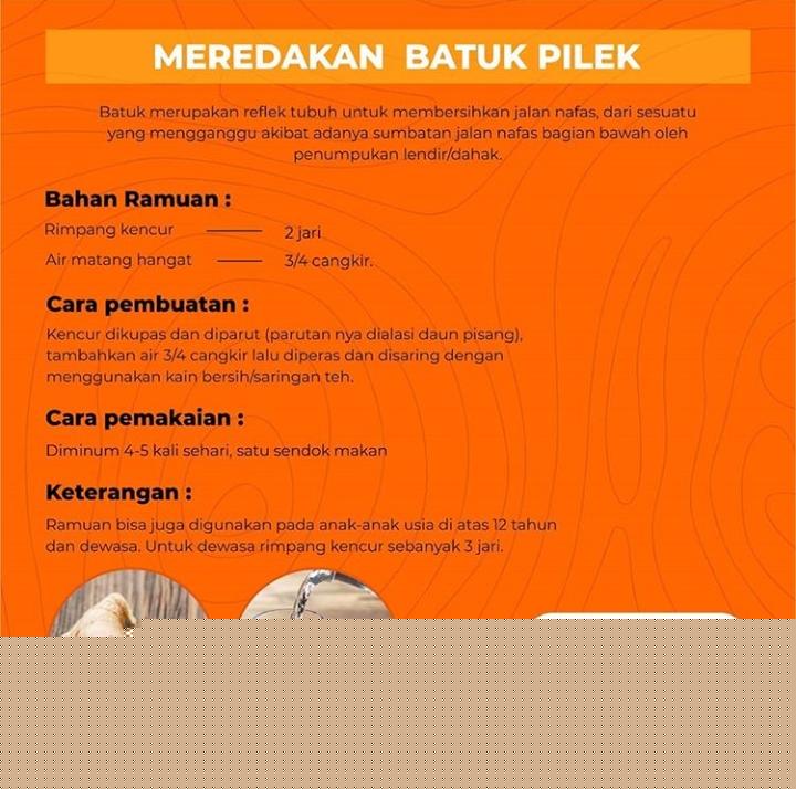 Cara membuat ramuan daun mint untuk meredakan batuk