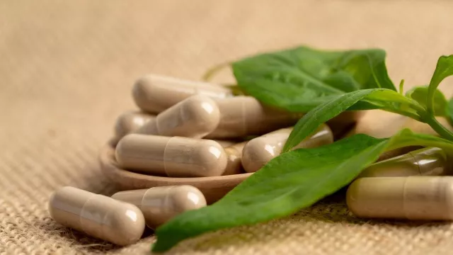 Cara menggunakan daun sambiloto untuk mengatasi pilek