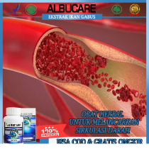 Cara menggunakan temulawak untuk memperbaiki sirkulasi darah