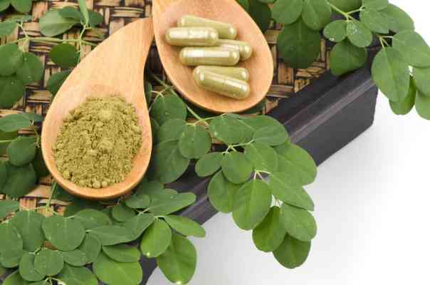 Manfaat daun kelor untuk kesehatan mata