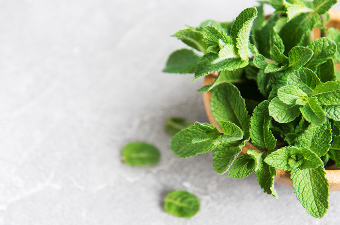 Manfaat daun mint untuk meredakan stres